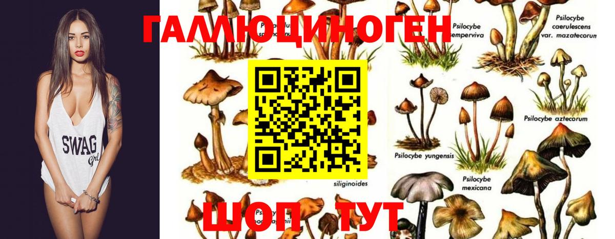 Ефремов  Галлюциногенные грибы ЛСД  Вход с VPN 