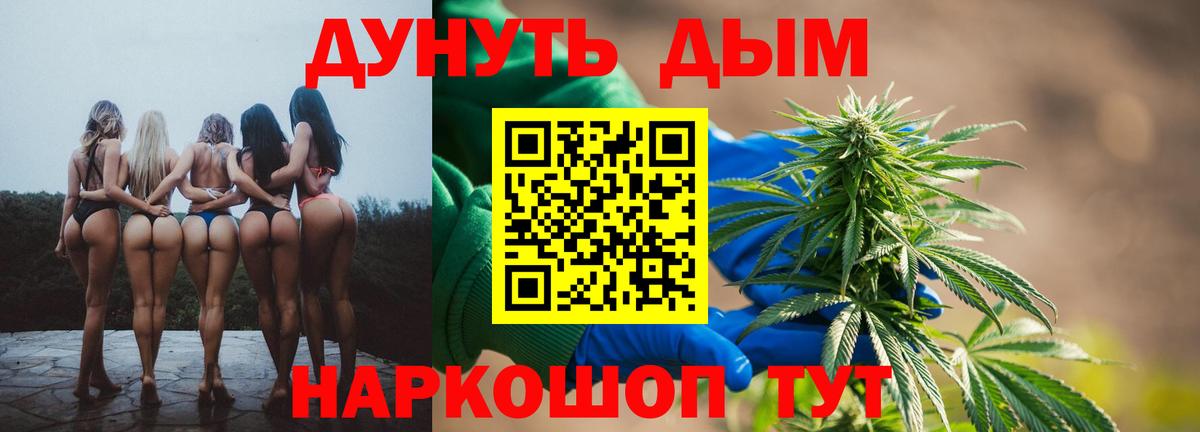 Каннабис OG Kush Ефремов